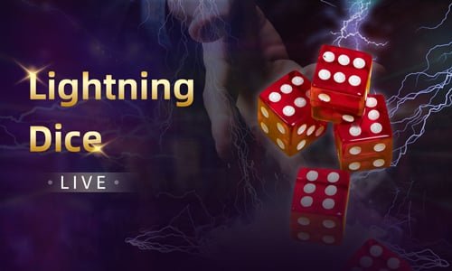pkr786 Bingo